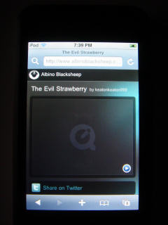 Flash page on iPod
